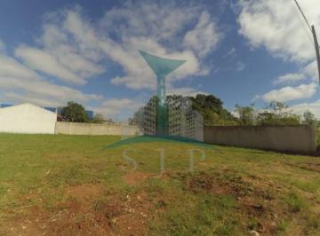 Foto 05 · Terreno à Venda em São José dos Pinhais-PR Bairro Colônia Murici 291,00 m² de Área