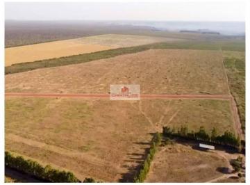 01b6317f6e38c9cc4355d1d8af4fc567.jpg · Fazenda com 3400 hectares, aptidão para grãos, toda plana e cercada