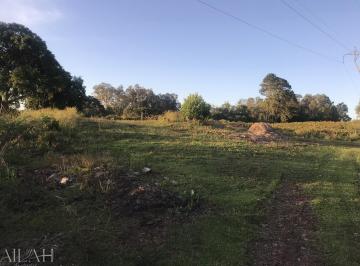 24696530_g.jpg ·
Terreno Em Monte Bérico situado próximo a Matrizes Gama