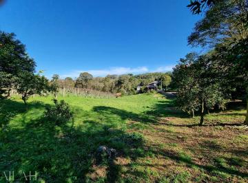 26634808_g.jpg ·
Travessão Tirolez - Galópolis