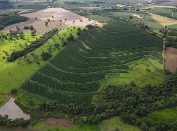 Foto 02 · FAZENDA PRODUTORA DE CAFÉ NA REGIÃO DE MACAÚBAS DE CIMA