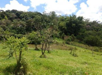 Rural · 150m² · 3 Quartos · Rurais à venda - em Cocuera