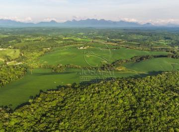 20240229133910656.jpg · Fazenda para Venda em Bocaiúva do Sul, Estiva, 4 dormitórios, 3 suítes, 1 banheiro
