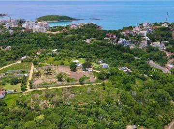 Terreno · 5000m² · terreno a venda em meaipe com aproximadamente 2.000 M²