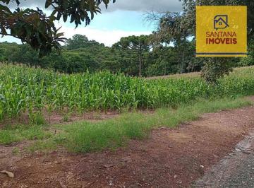 55114c7109a5e0d5a4f8e85b872285c5f61f1f26 · Terreno à venda, 12100 m² por R$ 800.000,00 - Rondinha - Campo Largo/PR