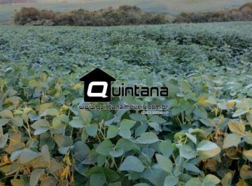 Rural · 1600000m² · Arrendamento fazenda 160 hectares em Canguçu RS