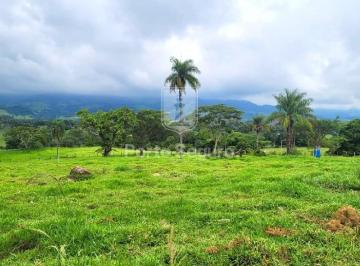 Foto 04 · Sitio, Serra da Paulista, São João da Boa Vista, SP