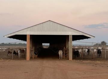Rural , Confresa · Fazenda a Venda  no Município de Confresa. Mato Grosso