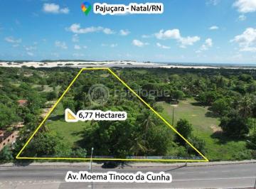 img0 · Area em Pajucara com  6,7 ha