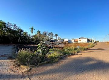 494505_ik1e1c_494505659491e36e365.jpg · 4 LOTES JUNTOS EM LINDOLFO COLLOR