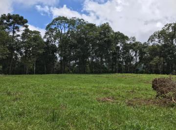 Terreno , Gonçalves · Terreno (80.000m2) em meio a reserva florestal (1600m de altitude)