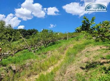 7ce14974cbf7c8977e2ccc6742e6466d6b6cd79f · Sítio com 1 dormitório à venda, 41000 m² por R$ 2.000.000,01 - Macuco - Valinhos/SP