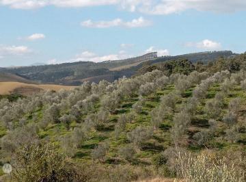 Rural , Lorena · Propriedade com Fábrica de Azeite em Lorena – SP