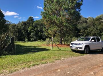 Rural · 20000m² · Rurais à venda - em Caxias do Sul