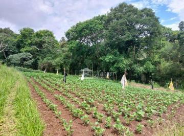 0922a5d8a7eda4e9c84d4ab3aa98434acaca2513 · Terreno à venda, 37609 m² por R$ 1.150.000,00 - Alto da Serra - São Roque/SP
