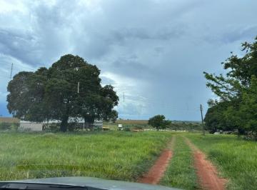 202511261833126131.jpeg · Fazenda para Venda em Rancharia, Zona Rural