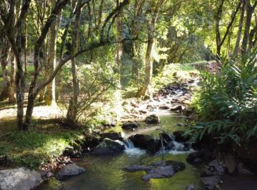 386852.jpg · Sitio - Bairro Linha Marcondes
