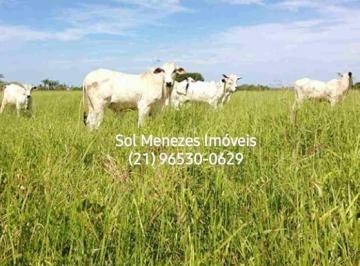 Rural , Campos dos Goytacazes · FAZENDA 10KM DO PORTO DO AÇU 100% PLANA EM CAMPOS DOS GOYTACAZES