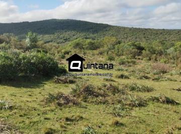 Rural · 1890000m² · Vendo fazenda 190 hectares em Herval