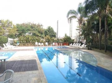 803a6fc029c65b7a0cca9cd375dbc1250afd4728 · Apartamento com 3 dormitórios à venda, 56 m² por R$ 350.000,00 - Cocaia - Guarulhos/SP
