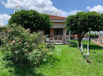 a2e99fd81fc7237607fea177217b1d3c510c93a9 · CEDRAL 02 DORM ESQUINA BOA PARA COMÉRCIO