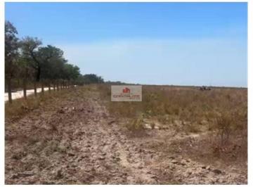 647b34c328f9264bbfa7f16c653c3e20.jpg · Fazenda na região de Piracuruca, com 464 hectares, com 260 hectares abertos, dupla aptidão
