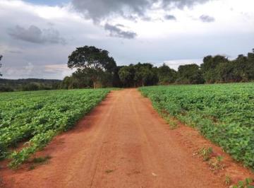 20240414133825755682.jpg · Fazenda para Venda em Morrinhos, Zona Rural