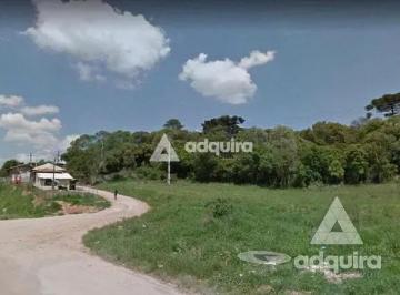terreno-a-venda-6185m-vila-santa-cruz-castro-pr1699968153782zhfjj.jpg · Terreno à venda 6185M², Vila Santa Cruz, Castro - PR