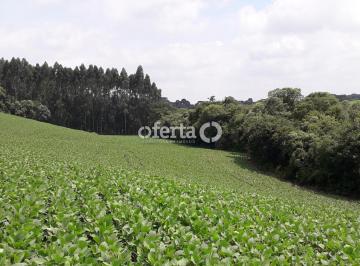 Rural · 48463m² · Chácara em Contenda / Campestre
