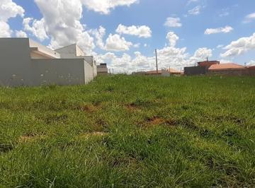 Foto 01 · Terreno, Jardim Yang 3, Bariri, SP