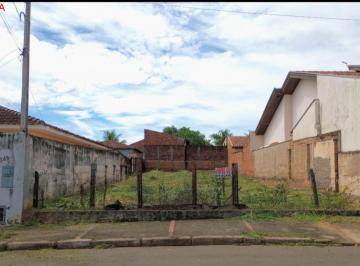 Foto 01 · Terreno, São José, Bariri, SP