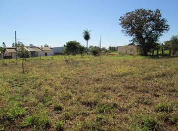 terreno-a-venda-em-campo-grande-jardim-lagoa-dourada-293946311.jpeg · 2 Terrenos Juntos à Venda no Asfalto no Jardim Lagoa Dourada, 900m²