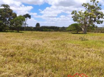 Foto 01 · Oportunidade única: Vende-se 20 tarefas de terra em Conceição do Jacuípe (Birimbal)