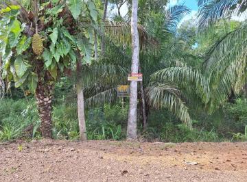Foto 03 · TERRENO À VENDA NA CHÁCARA DA MATINHA EM JI-PARANÁ