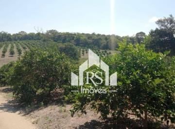 068af75d8065a1ca8cedb033da2193aa9bd3af91 · Fazenda com 3 dormitórios à venda, 1000000 m² por R$ 3.500.000,00 - Centro - Araruama/RJ