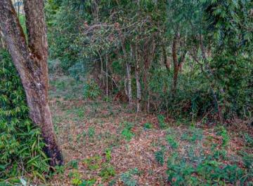 Terreno · 1000m² · Lotes a venda em Cachoeira do Campo.
