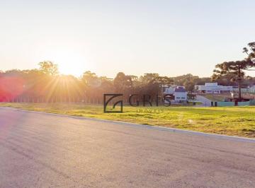f4ae5987c9d3d66e5ff102a2e07010551cfafa0c · Terreno à venda, 1080 m² por R$ 2.299.000,00 - Campo Comprido - Curitiba/PR