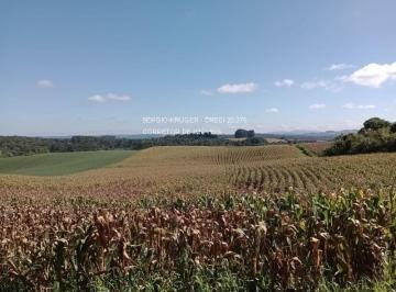 Foto 01 · Área Industrial, Campestre, Campo Alegre, SC