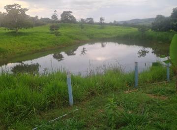 Rural de 3 quartos, Alexânia · SÍTIO 07 Alqueires – PECURÁRIA