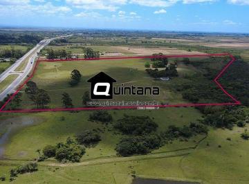 Rural · 180000m² · 2 Quartos · 1 Vaga · Vendo Cabanha em Rio Grande 18 hectares