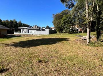 777070.jpg · Terreno - Bairro Carniel