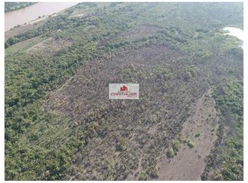 447057bfe8fbe6b7bac150992cd73f7e.JPG · Fazenda com 2000 hectares, dupla aptidão, cercado em arame liso, 700 hectares em pasto