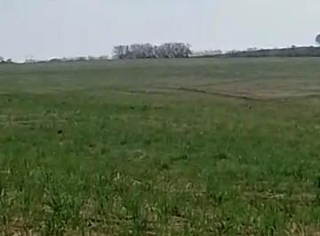 Rural , Pirassununga · FAZENDA PIRASSUNUNGA