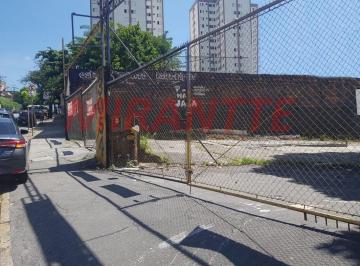ecf698b1e62f29e8370f2ddab38fed5f.jpg · Terreno de 536m²