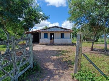 Rural , Castro Alves · Fazenda na Região de Castro Alves