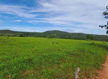 Rural de 2 quartos, Caldas Novas · CHACARA 14,3 HA ( 3 ALQUEIRES) REGIÃO CALDS NOVAS GO