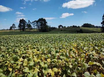 Foto 01 · Terreno, Área Rural, Campo Belo do Sul, SC
