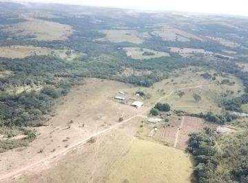 Rural de 4 quartos, Brasília · VENDO EXCELENTE FAZENDA DENTRO DO DF TODA FORMADA COM ESCRITURA! 98150-8787