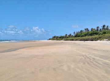 Terreno , Trairi · Pé na areia Terreno Frente Mar na Praia de Mundaú para Bangalôs