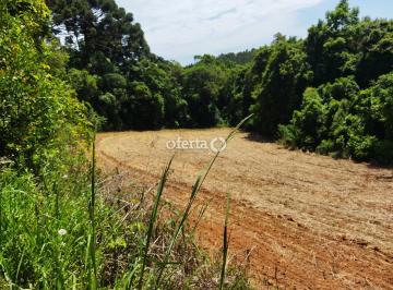Rural · 24428m² · Chácara em Araucária     